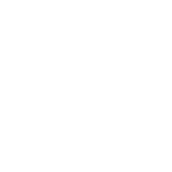 logo light